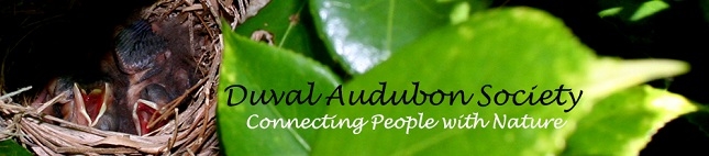 Duval Audubon