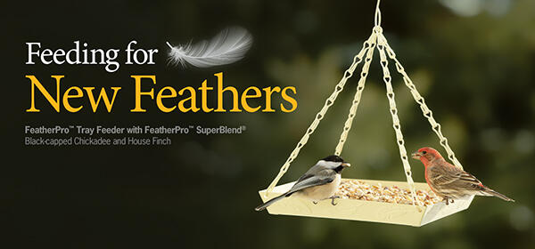 FeatherPro